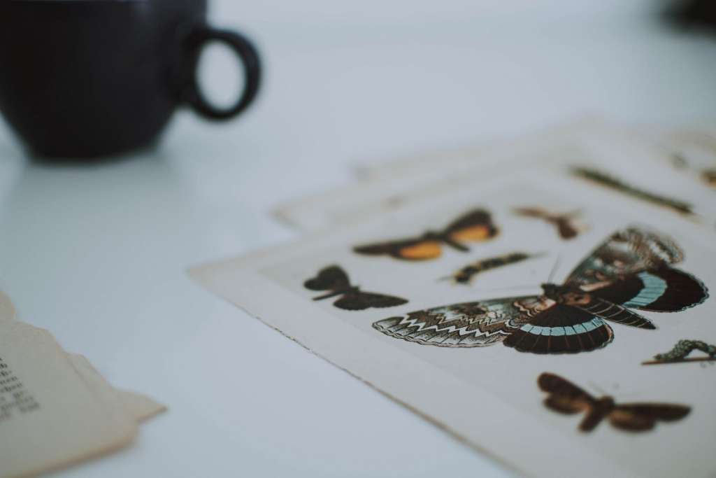 Iridesse Print Technology