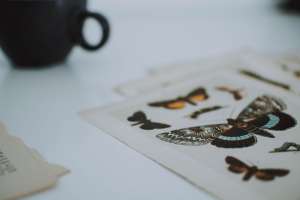 Iridesse Print Technology