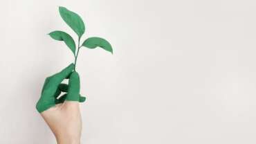 The Benefits of Eco-Friendly Printing for Your Business