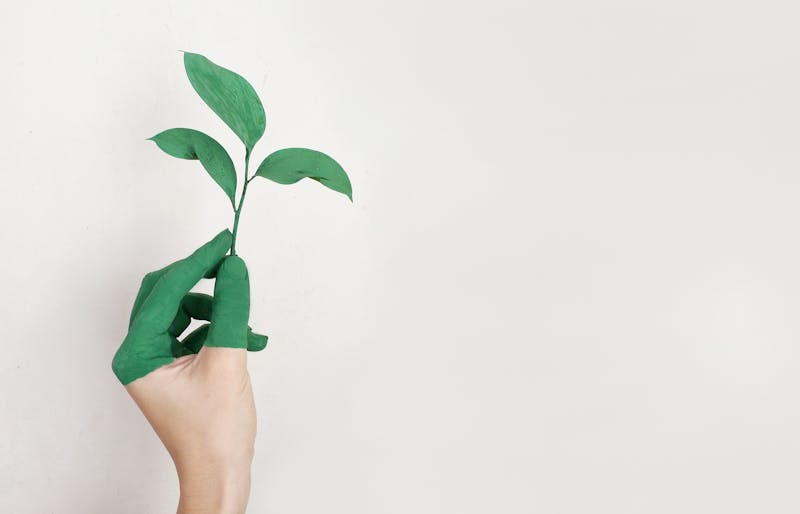 The Benefits of Eco-Friendly Printing for Your Business