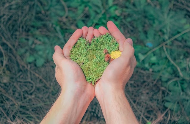 Why Sustainability in Print Marketing is Key for Modern Businesses