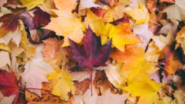 The Power of Seasonal Print Campaigns for Local Businesses